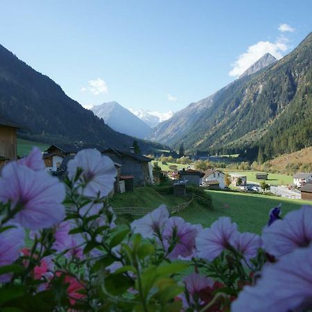 Apartment Voellenklee Neustift im Stubaital Εξωτερικό φωτογραφία